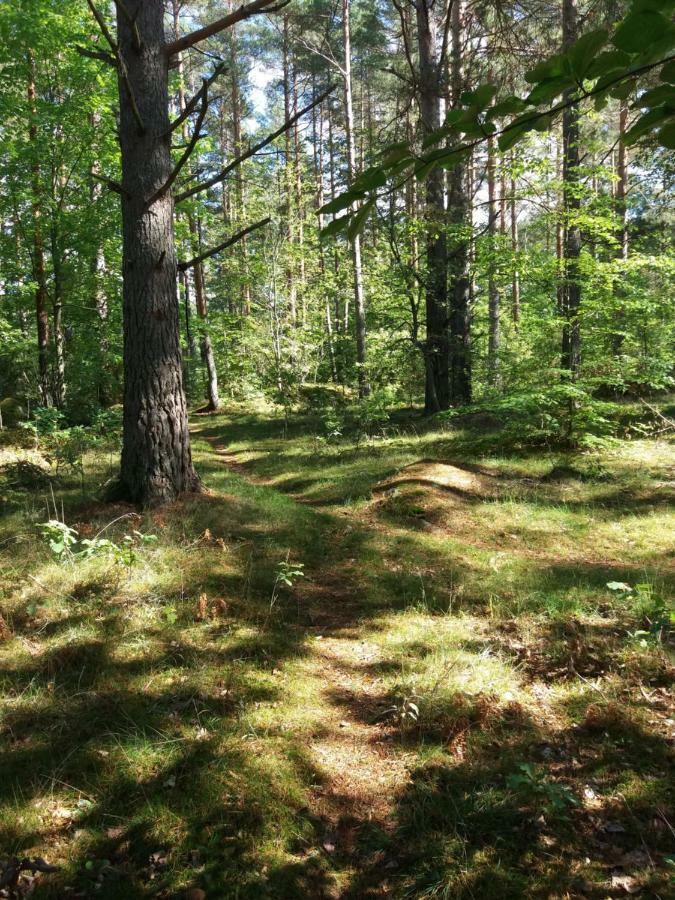 Ferienhaus Heidi Rosenfors Eksteriør bilde